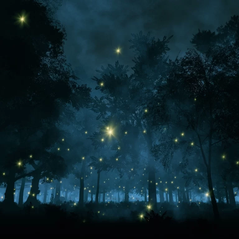 Fireflies festival-1