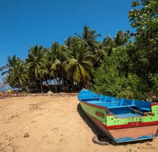 Gokarna Backpacking New Year