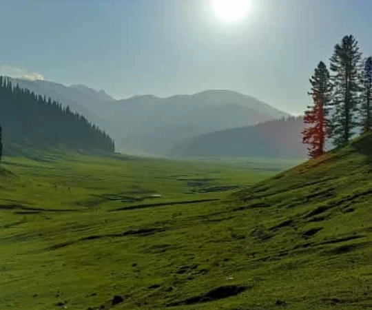 Mystic Valleys of Kashmir Road Trip