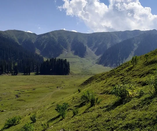 Mystic Valleys of Kashmir Road Trip