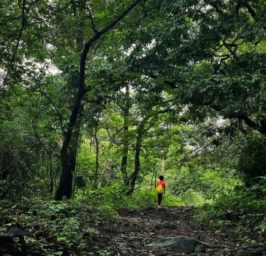 Shilonda Trail