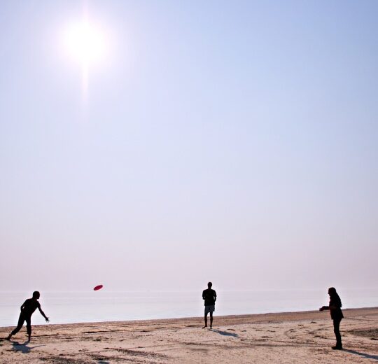 Ultimate Frisbee By the Bay