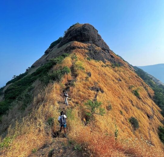 Peb Fort Night Trek